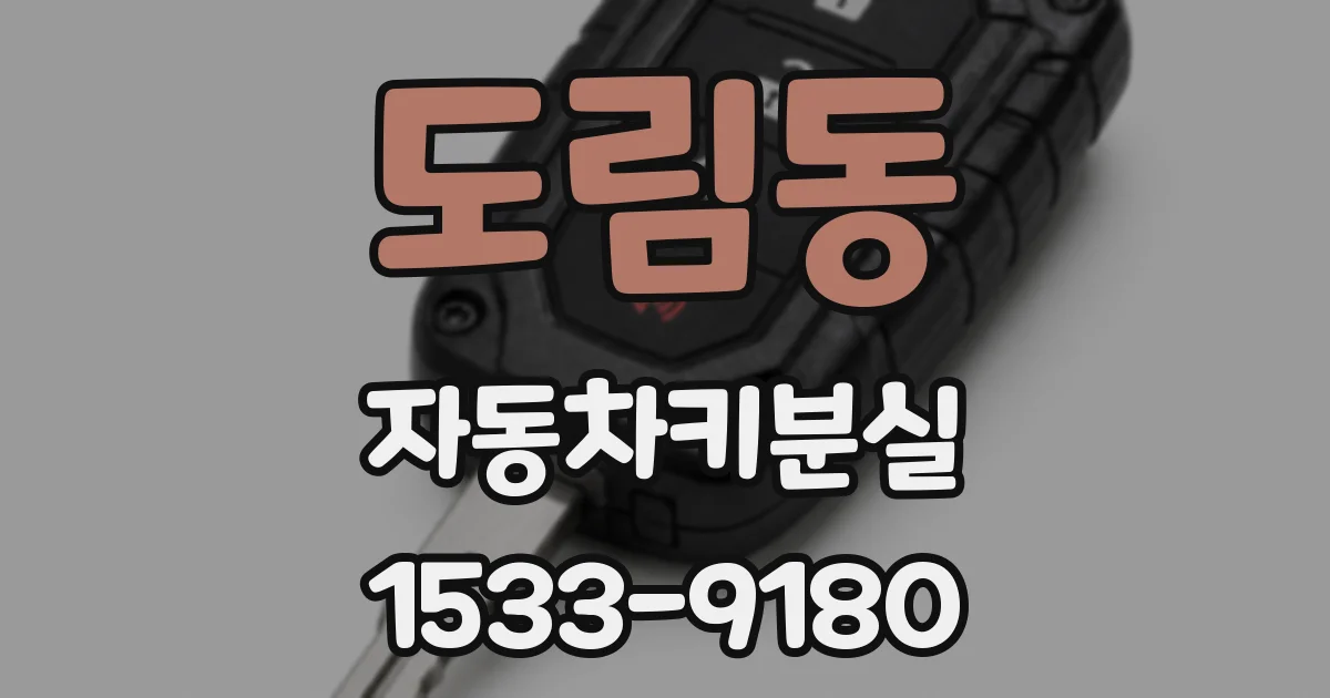 도림동 자동차키분실