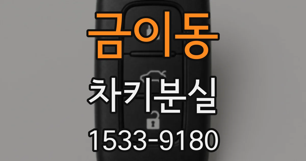 금이동 차키분실