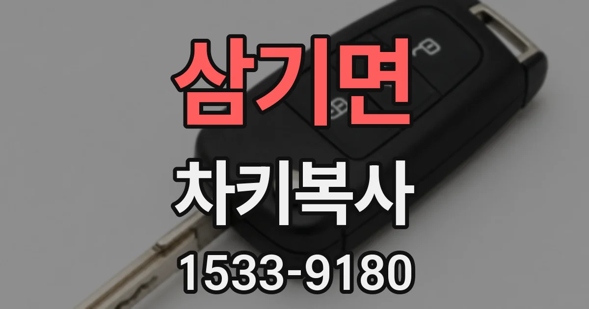 삼기면 차키복사