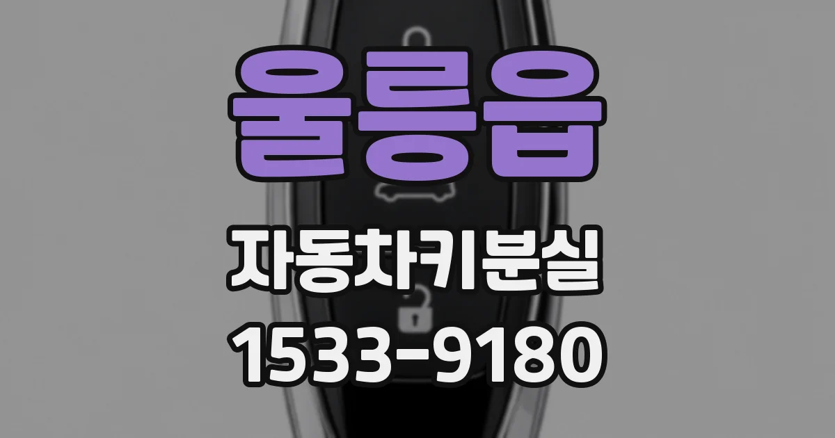 울릉읍 자동차키분실