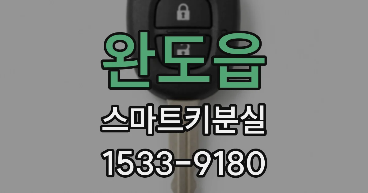 완도읍 스마트키분실