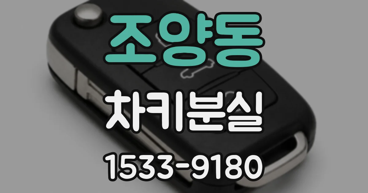 조양동 차키분실