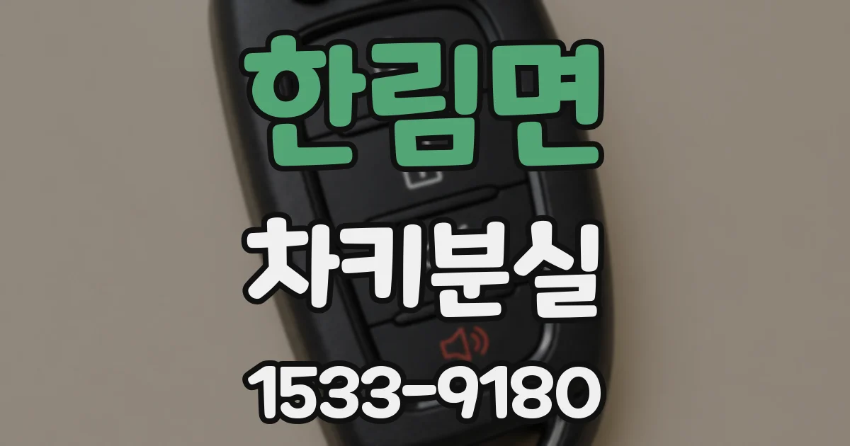 한림면 차키분실