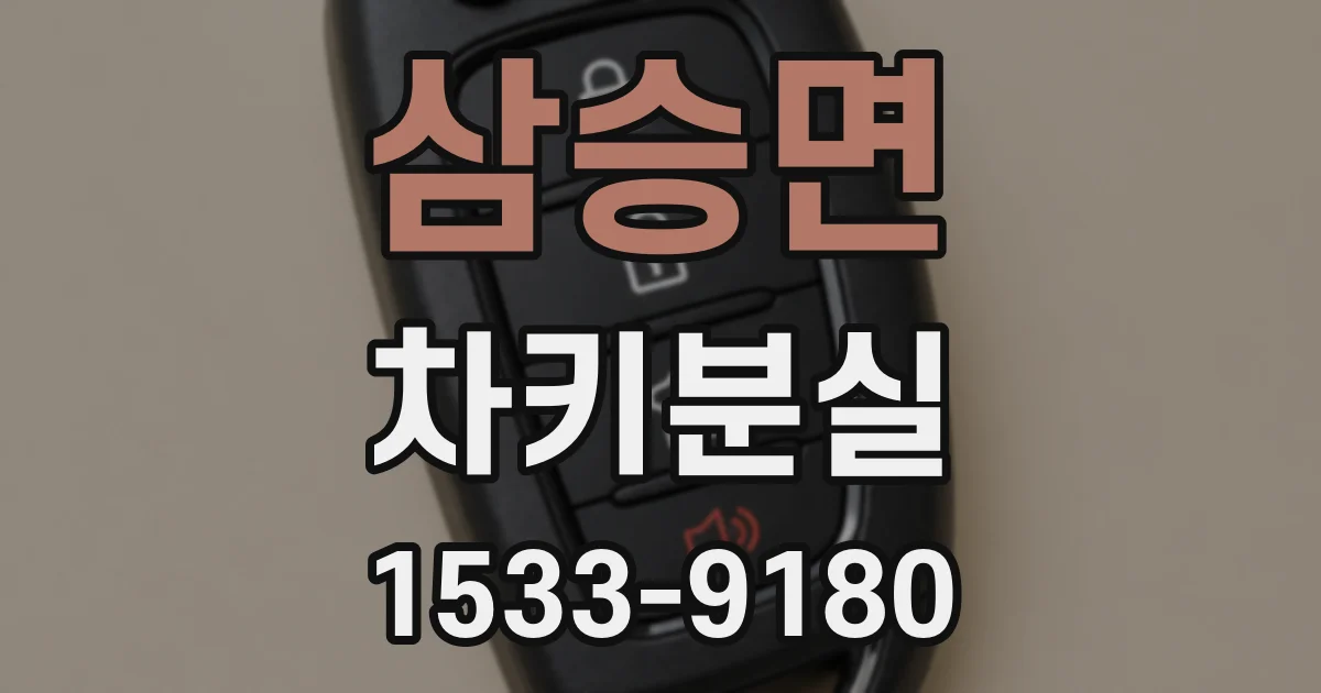 삼승면 차키분실