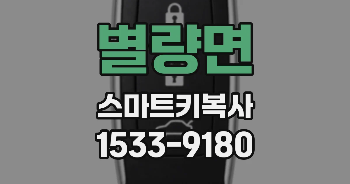 별량면 스마트키복사