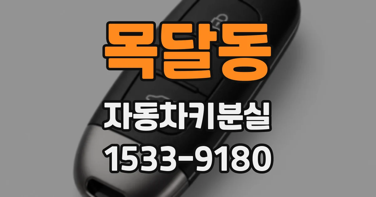 목달동 자동차키분실