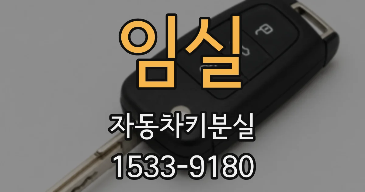 임실 자동차키분실