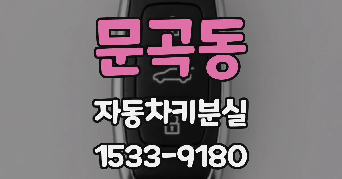 문곡동 자동차키분실