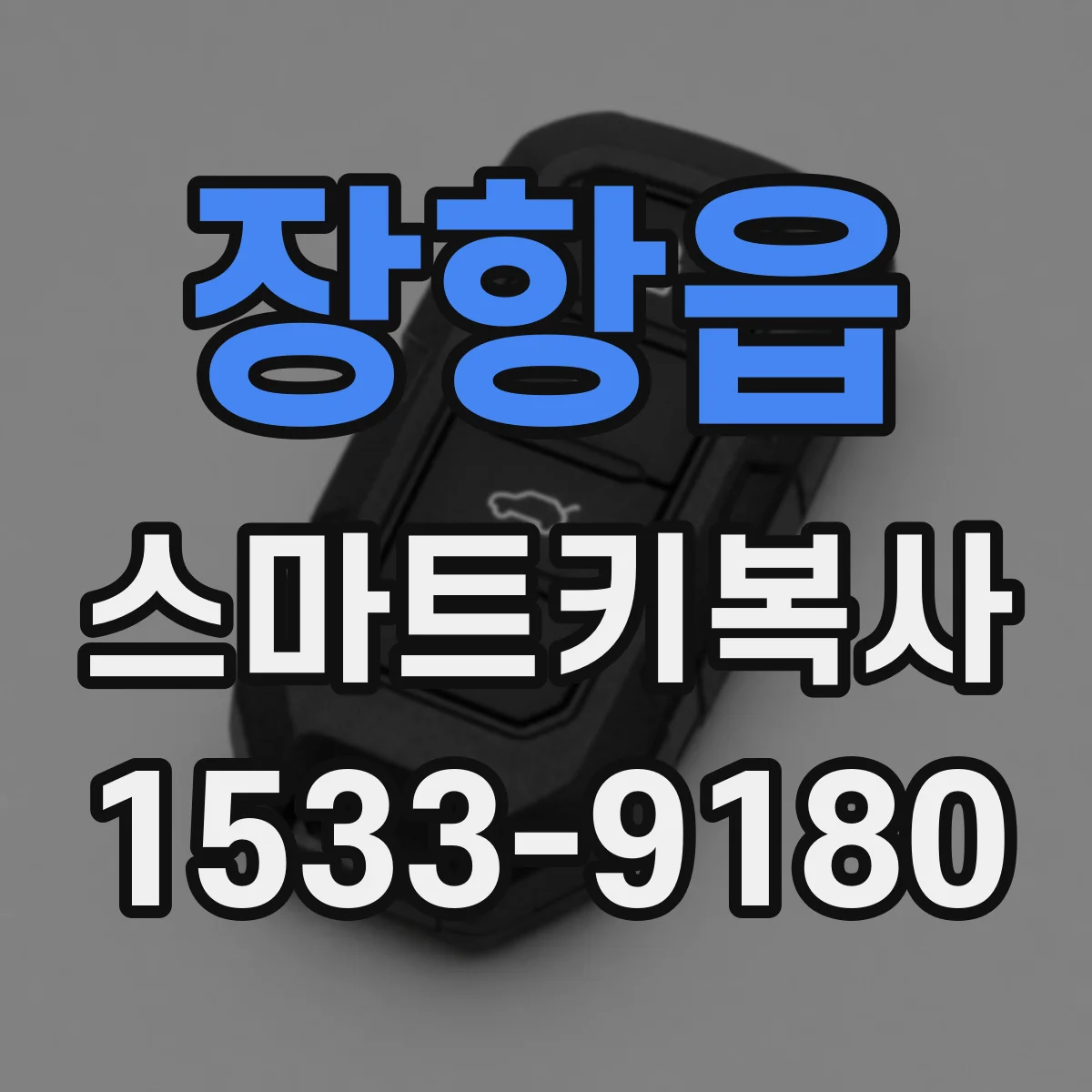 장항읍 스마트키복사