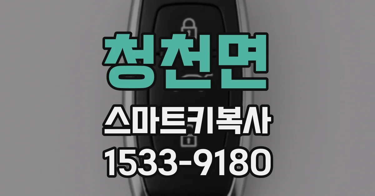 청천면 스마트키복사