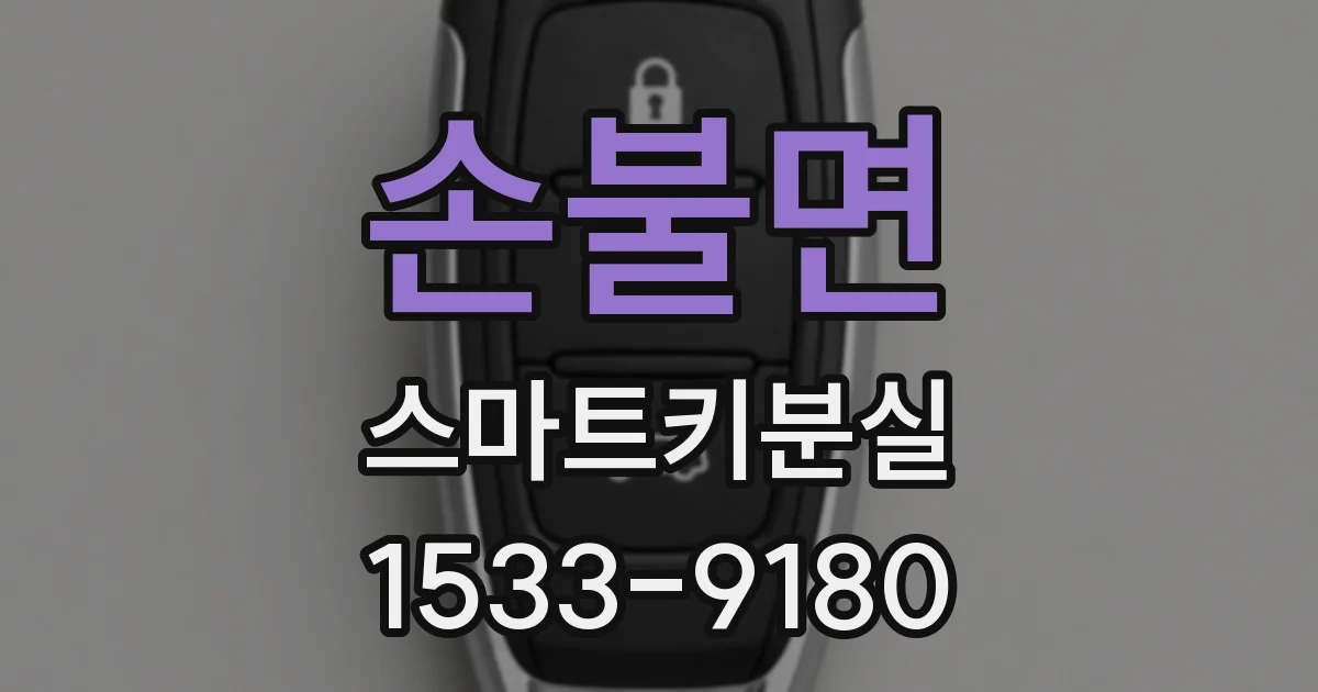 손불면 스마트키분실