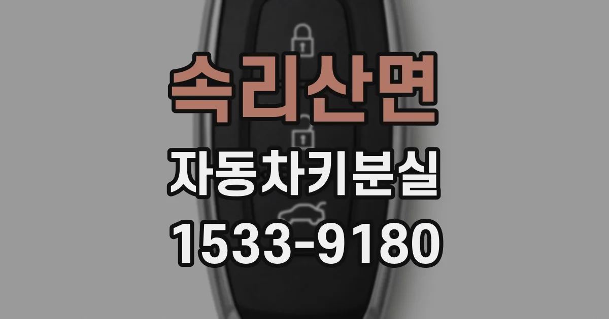 속리산면 자동차키분실