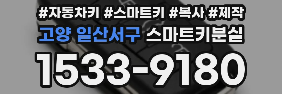 고양 일산서구 스마트키분실