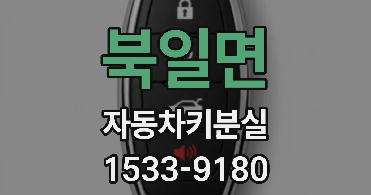 북일면 자동차키분실