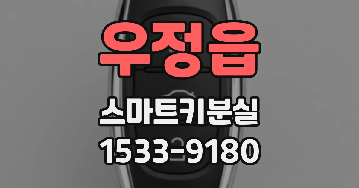 우정읍 스마트키분실