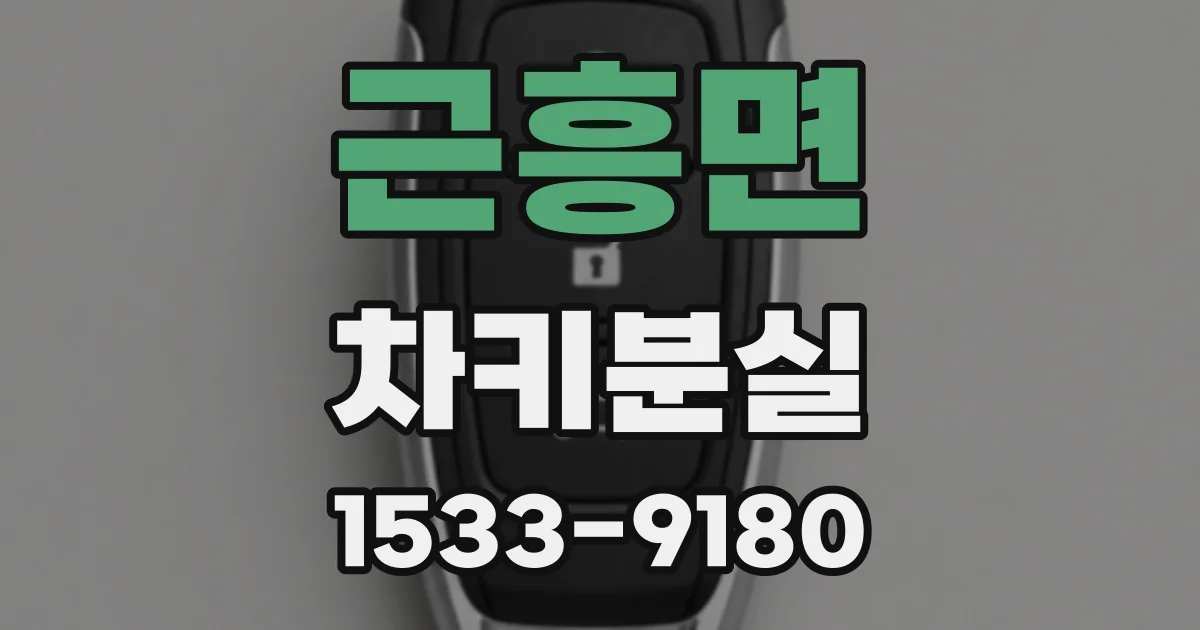 근흥면 차키분실