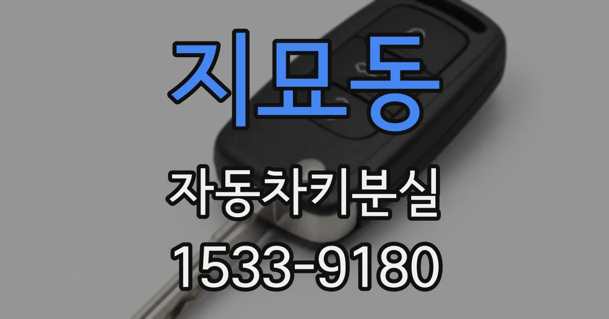 지묘동 자동차키분실
