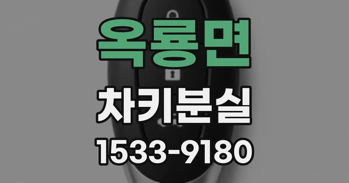 옥룡면 차키분실