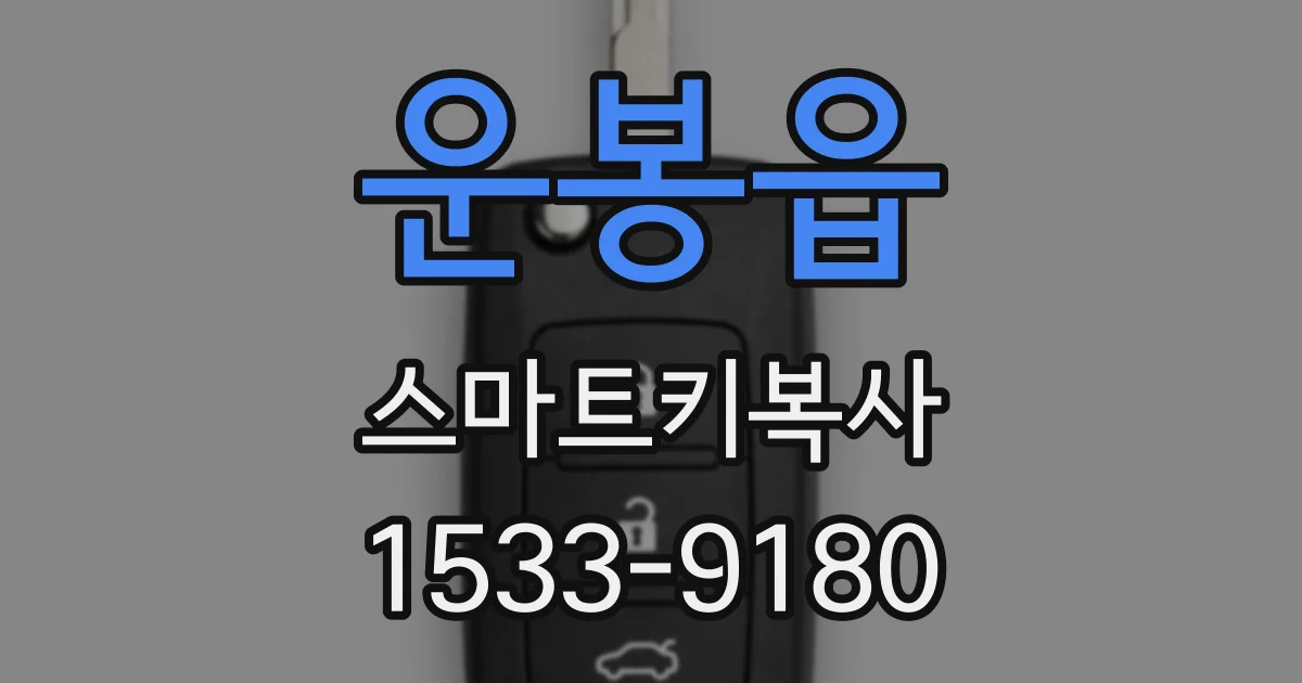 운봉읍 스마트키복사