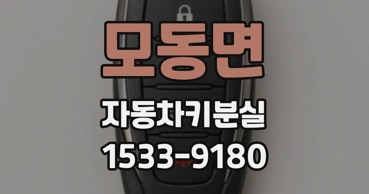 모동면 자동차키분실