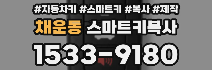 채운동 스마트키복사