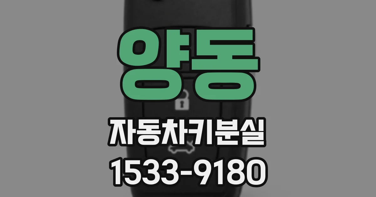 양동 자동차키분실