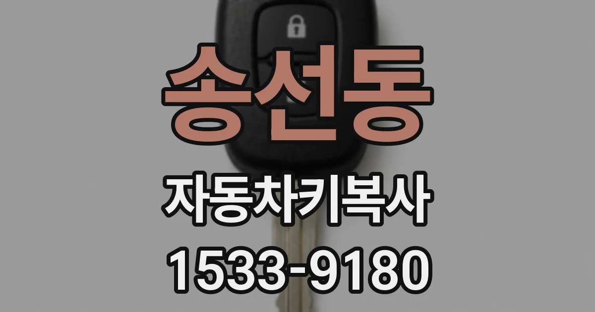 송선동 자동차키복사