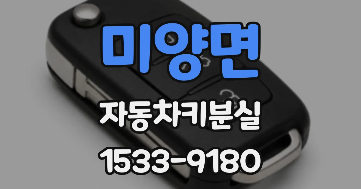 미양면 자동차키분실