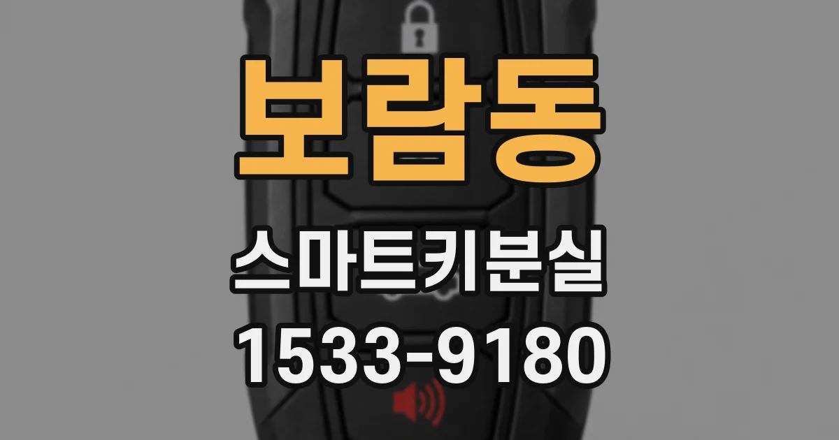 보람동 스마트키분실