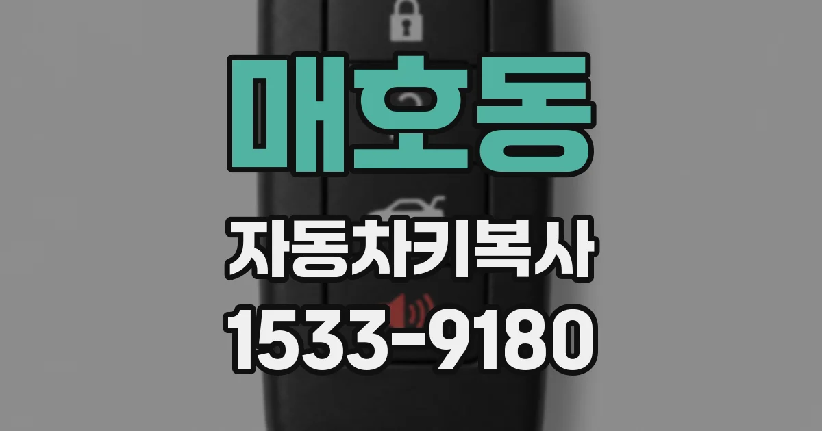 매호동 자동차키복사