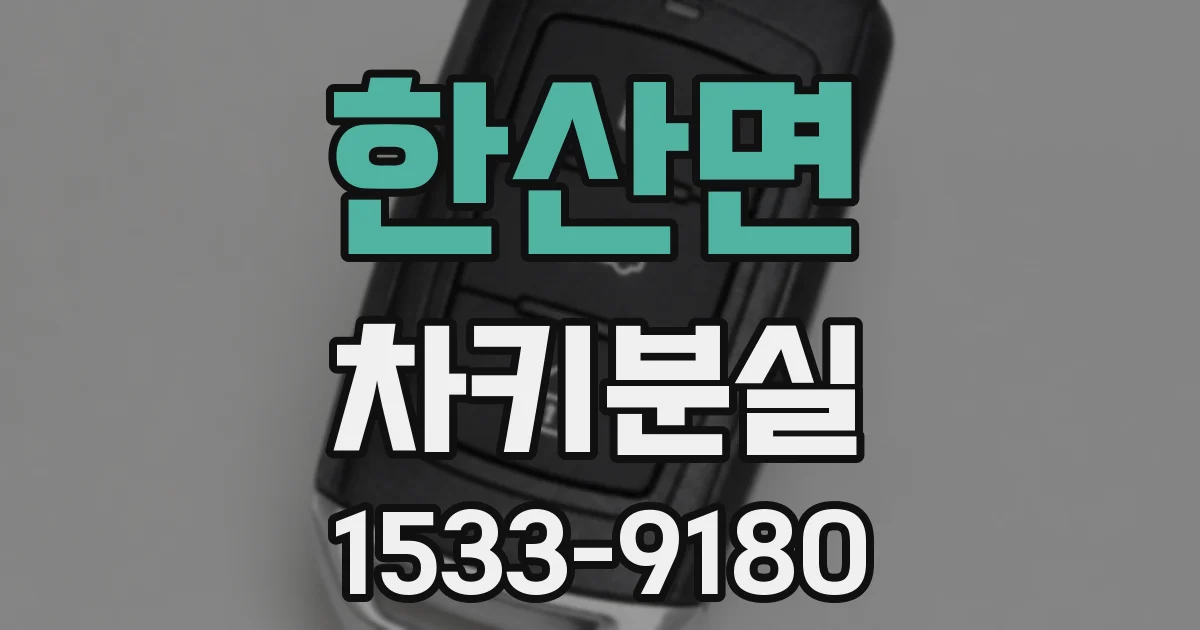 한산면 차키분실