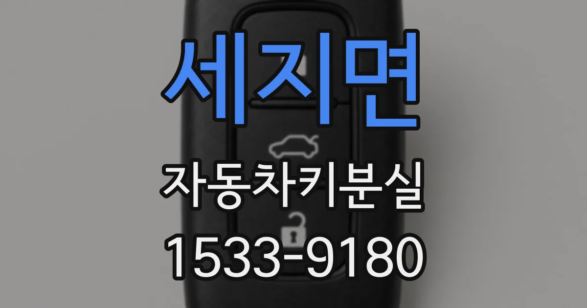 세지면 자동차키분실