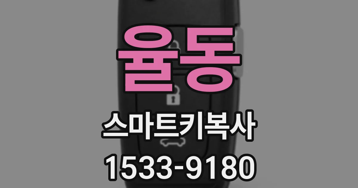 율동 스마트키복사