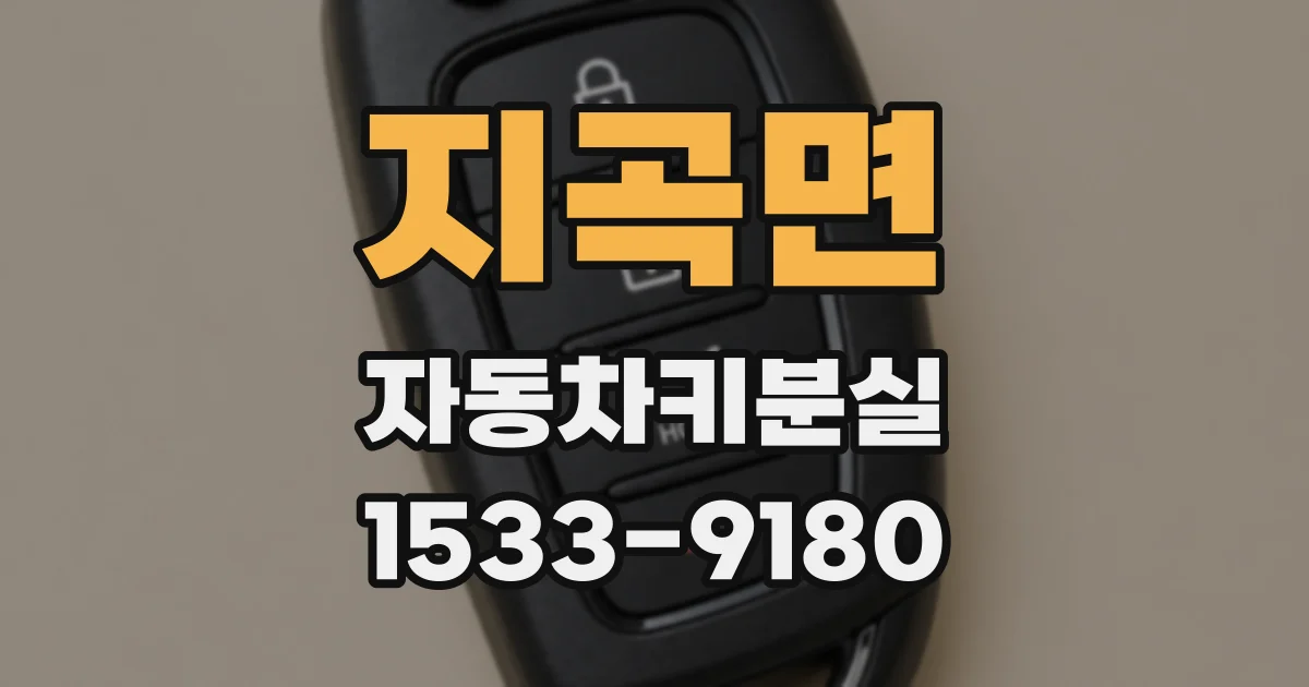 지곡면 자동차키분실