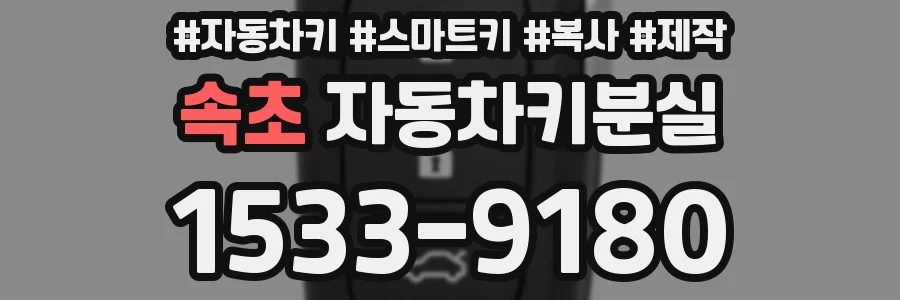 속초 자동차키분실