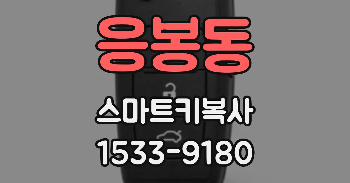응봉동 스마트키복사