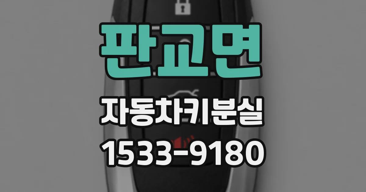 판교면 자동차키분실