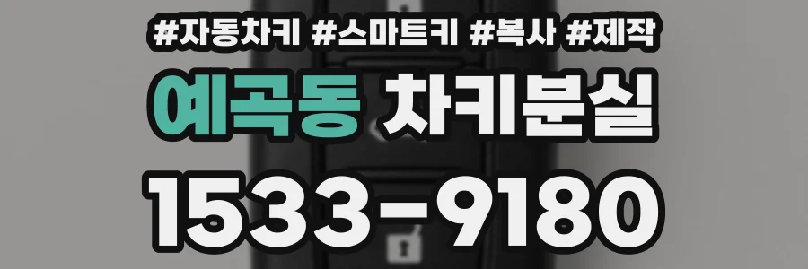 예곡동 차키분실