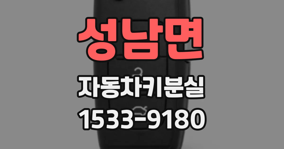성남면 자동차키분실