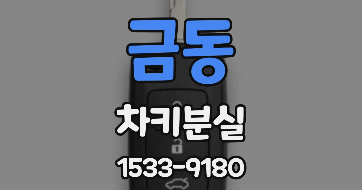 금동 차키분실