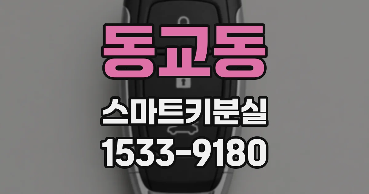 동교동 스마트키분실