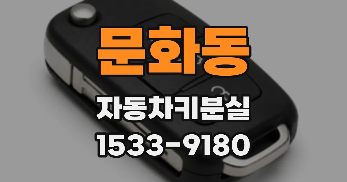 문화동 자동차키분실