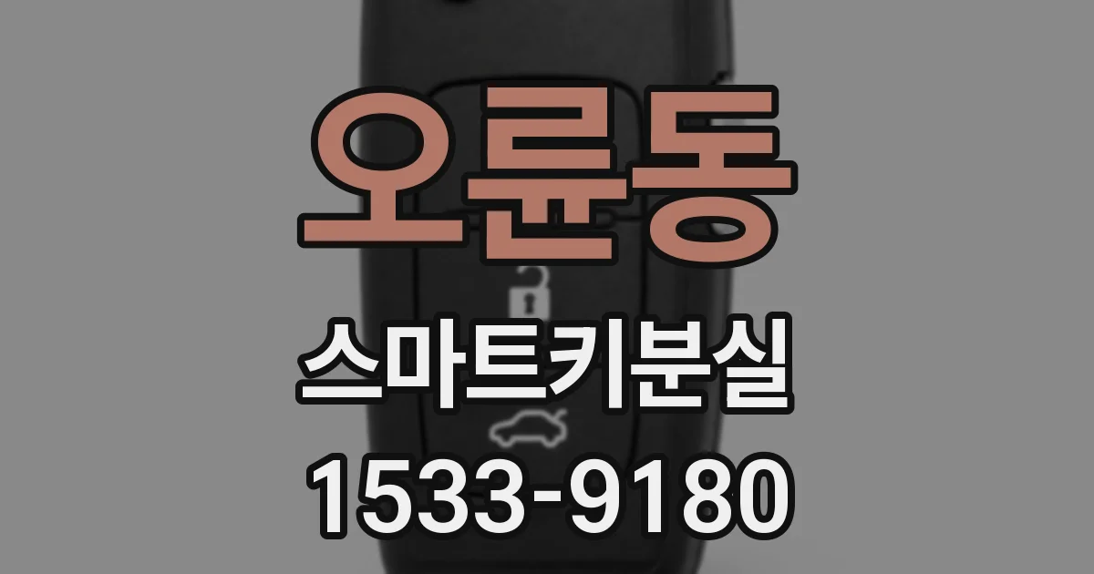 오륜동 스마트키분실