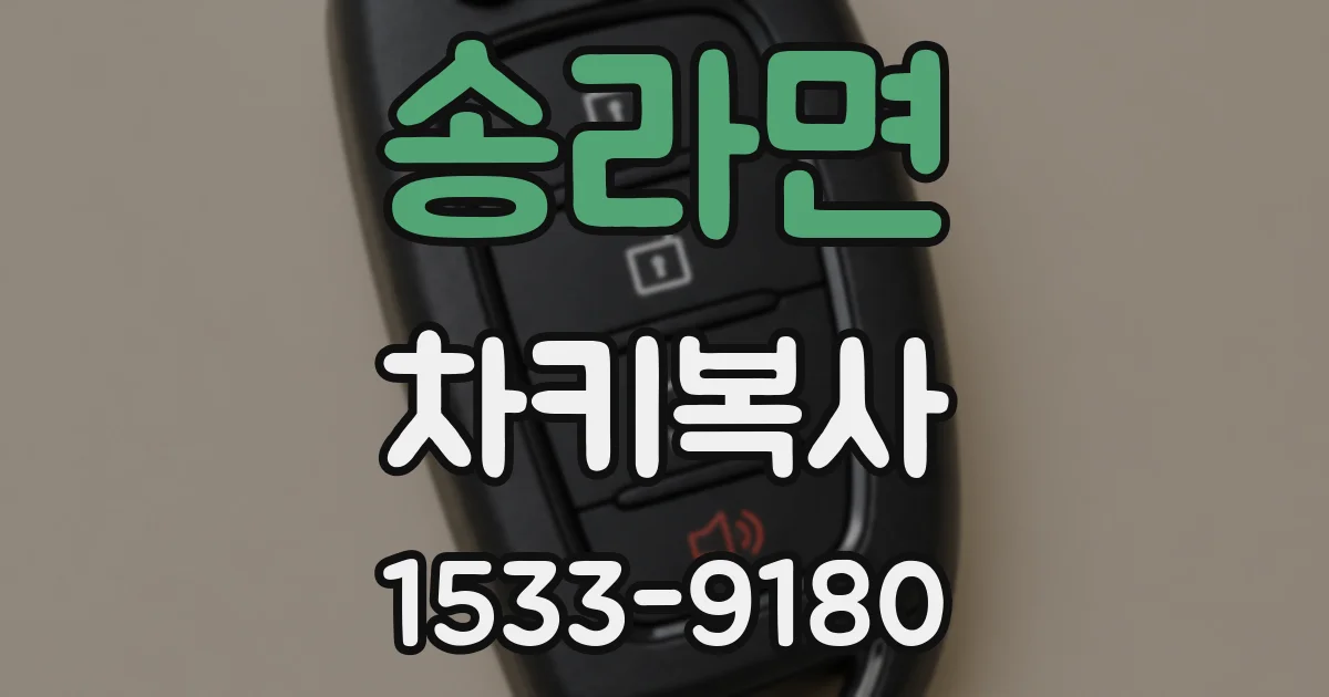 송라면 차키복사