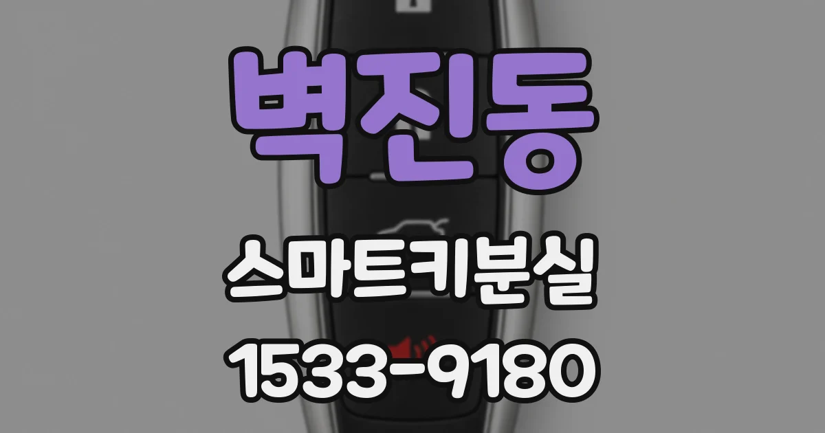 벽진동 스마트키분실