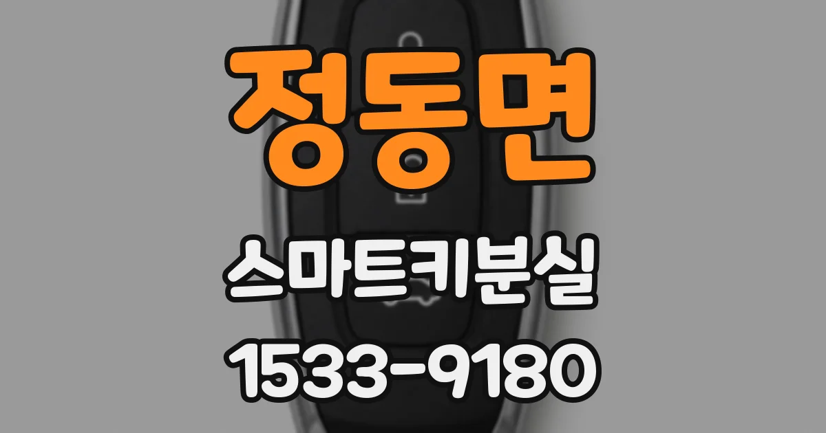정동면 스마트키분실