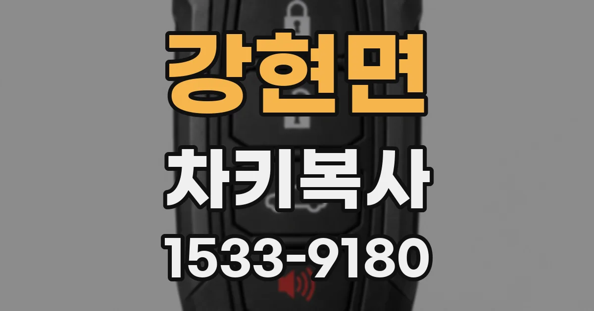 강현면 차키복사