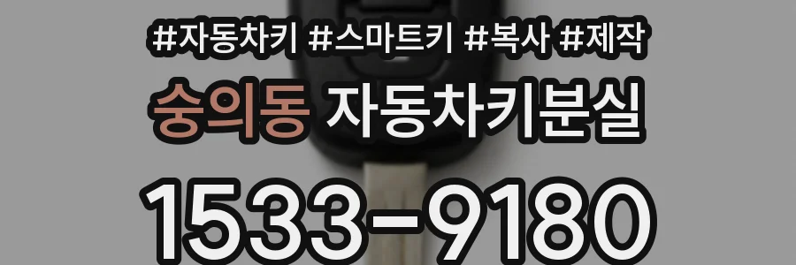 숭의동 자동차키분실