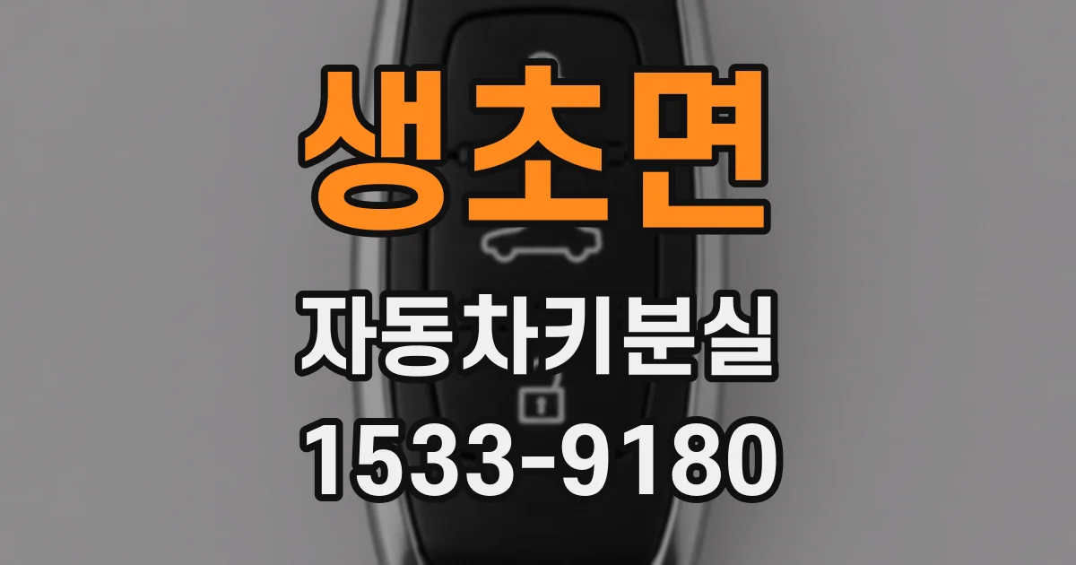 생초면 자동차키분실