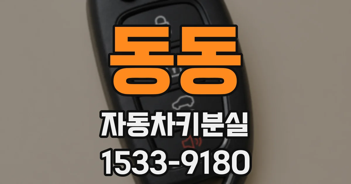 동동 자동차키분실